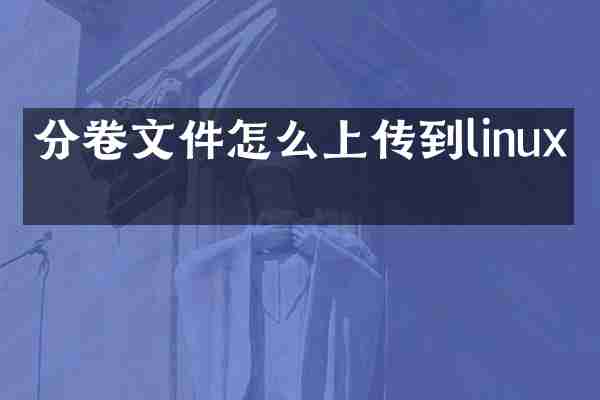 分卷文件怎么上传到linux上