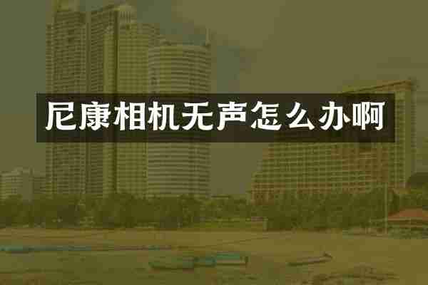 尼康相机无声怎么办啊