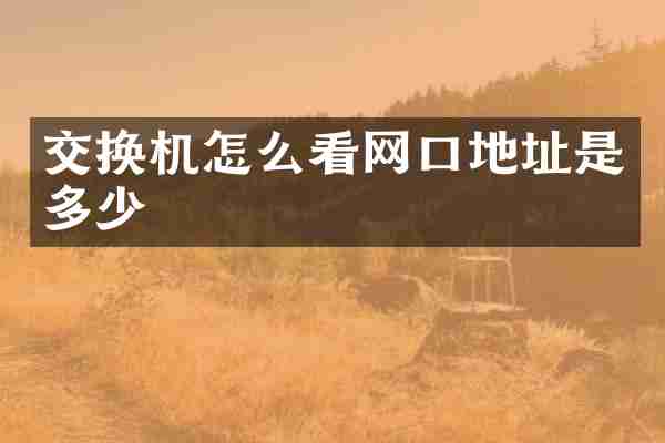 交换机怎么看网口地址是多少