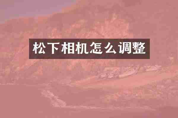 相机怎么调整