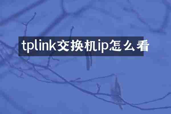 tplink交换机ip怎么看