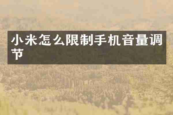 小米怎么限制手机音量调节