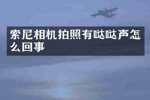 相机拍照有哒哒声怎么回事