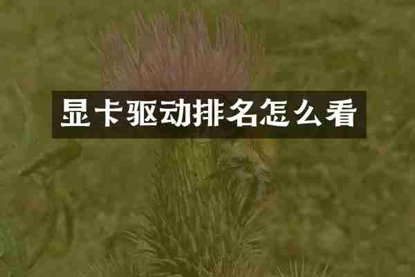 显卡驱动排名怎么看