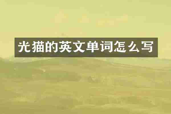 光猫的英文单词怎么写