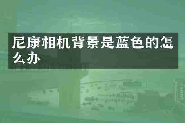 尼康相机背景是蓝色的怎么办