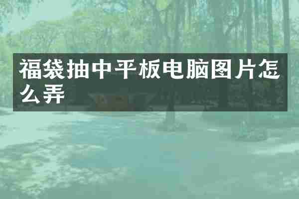 福袋抽中平板电脑图片怎么弄