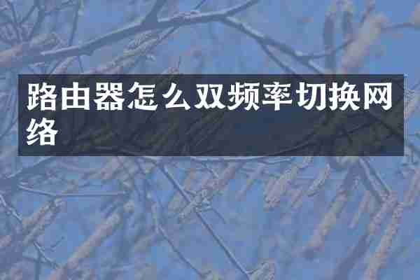 路由器怎么双频率切换网络