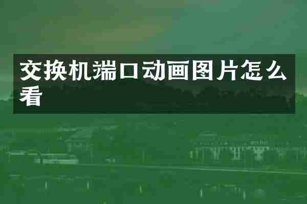 交换机端口动画图片怎么看