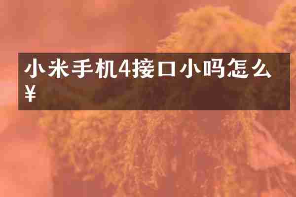 小米手机4接口小吗怎么接