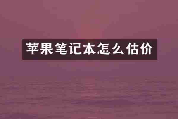 苹果笔记本怎么估价