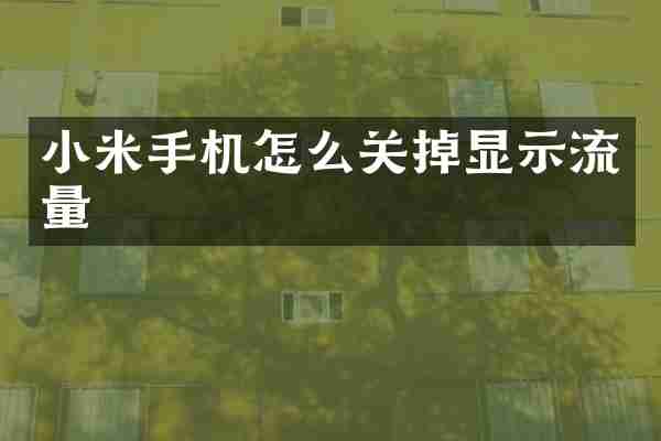 小米手机怎么关掉显示流量