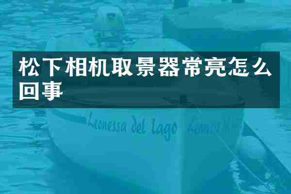 松下相机取景器常亮怎么回事