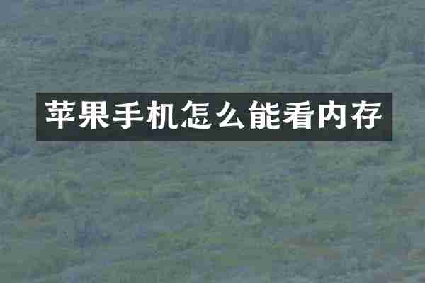苹果手机怎么能看内存
