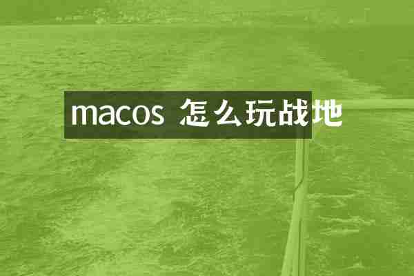 macos 怎么玩战地