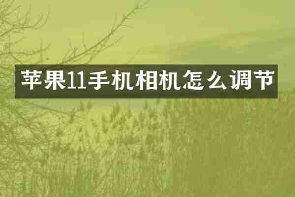 苹果11手机相机怎么调节