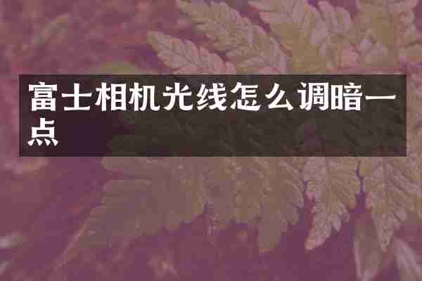 富士相机光线怎么调暗一点