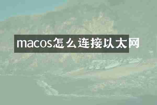 macos怎么连接以太网