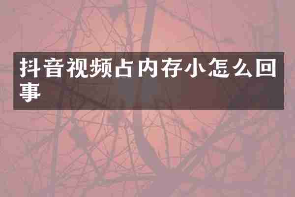 抖音视频占内存小怎么回事
