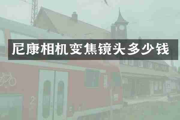 尼康相机变焦镜头多少钱