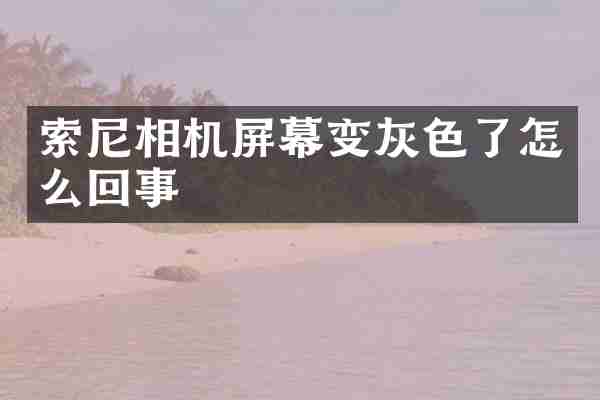 索尼相机屏幕变灰色了怎么回事