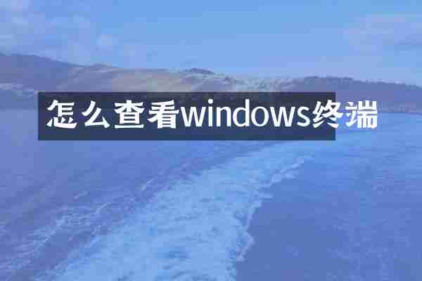 怎么查看windows终端