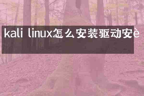 kali linux怎么安装驱动安装