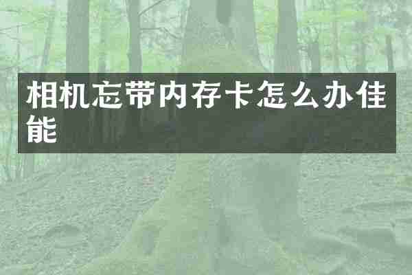 相机忘带内存卡怎么办佳能