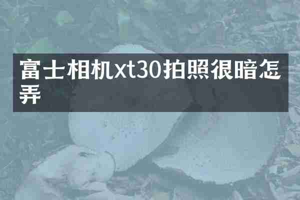 富士相机xt30拍照很暗怎么弄