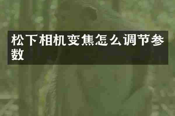松下相机变焦怎么调节参数