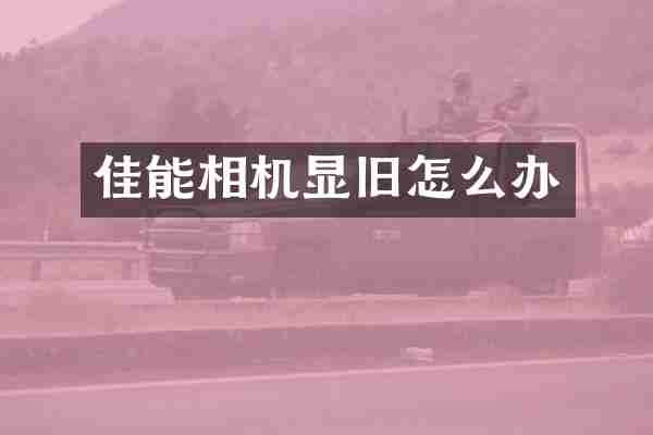 佳能相机显旧怎么办