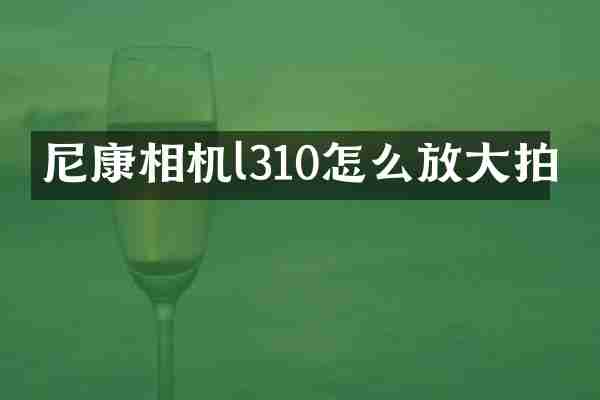 尼康相机l310怎么放大拍
