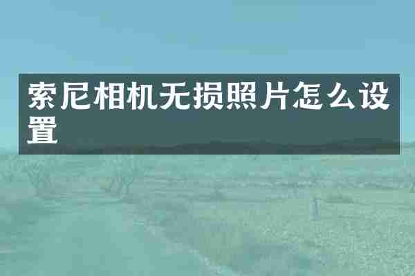 索尼相机无损照片怎么设置