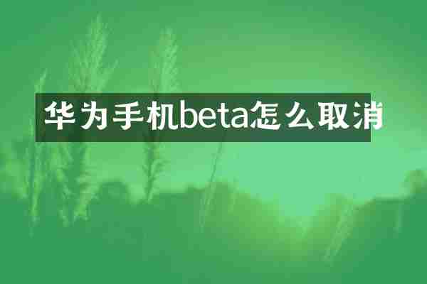 华为手机beta怎么取消