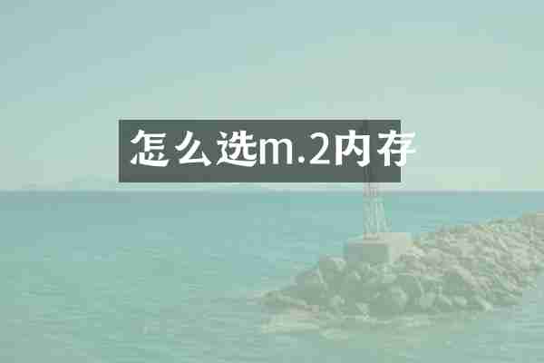 怎么选m.2内存