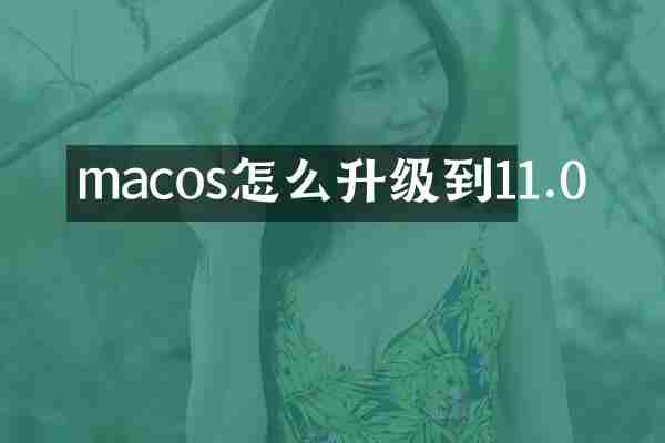 macos怎么升级到11.0