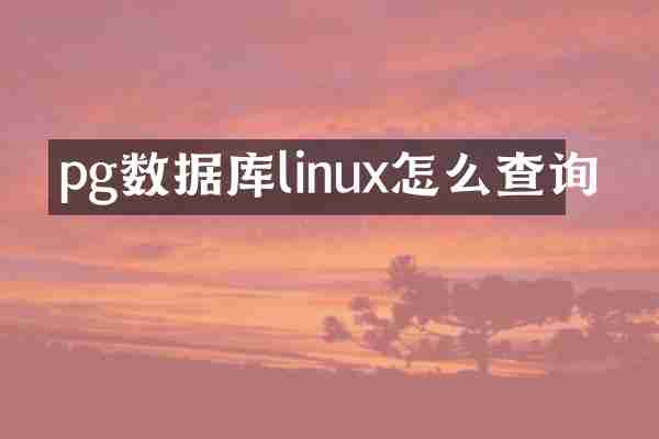 pg数据库linux怎么查询