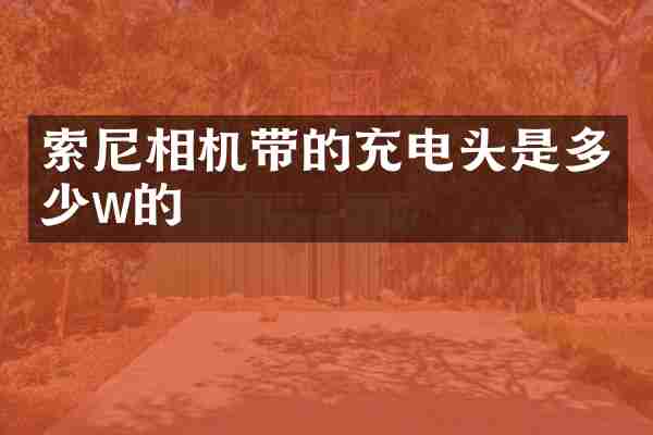 相机带的充电头是多少w的