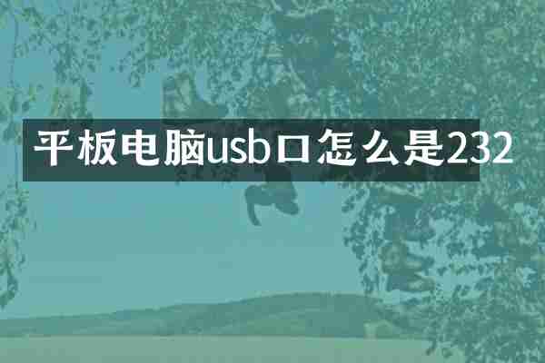 平板电脑usb口怎么是232