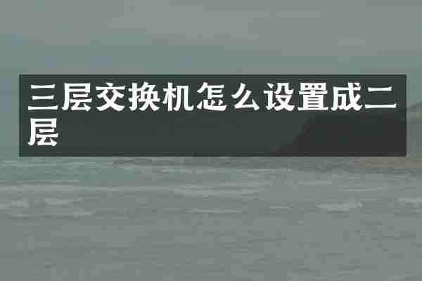 三层交换机怎么设置成二层