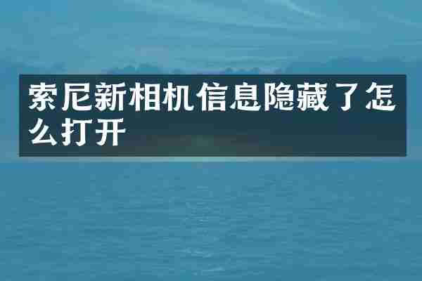 索尼新相机信息隐藏了怎么打开