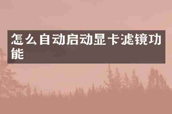 怎么自动启动显卡滤镜功能