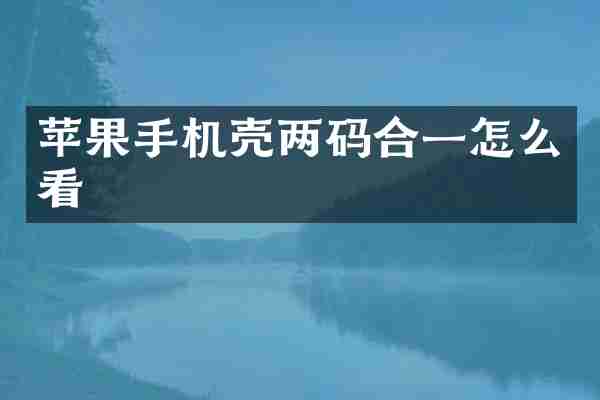 苹果手机壳两码合一怎么看