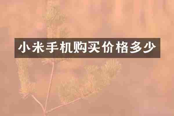 小米手机购买价格多少