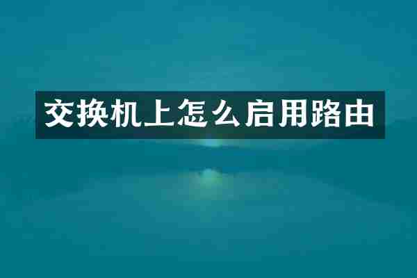 交换机上怎么启用路由