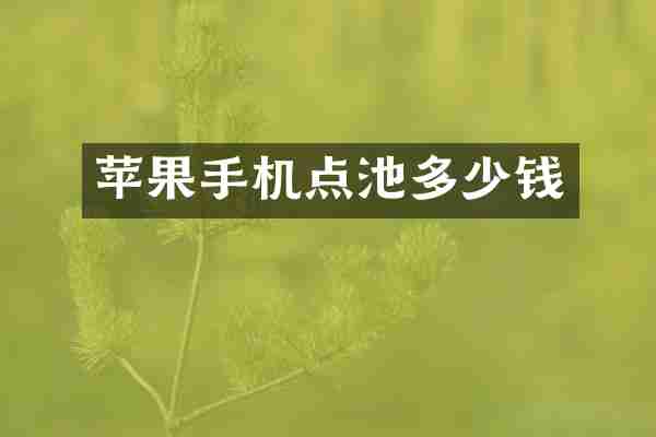 苹果手机点池多少钱