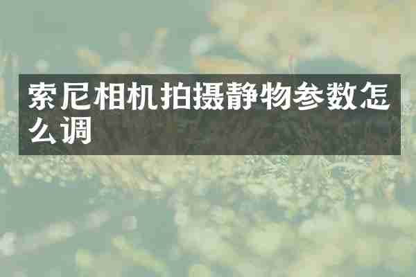 相机拍摄静物参数怎么调