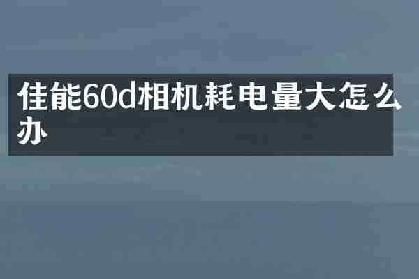 佳能60d相机耗电量大怎么办