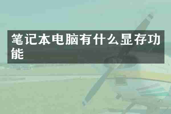 笔记本电脑有什么显存功能