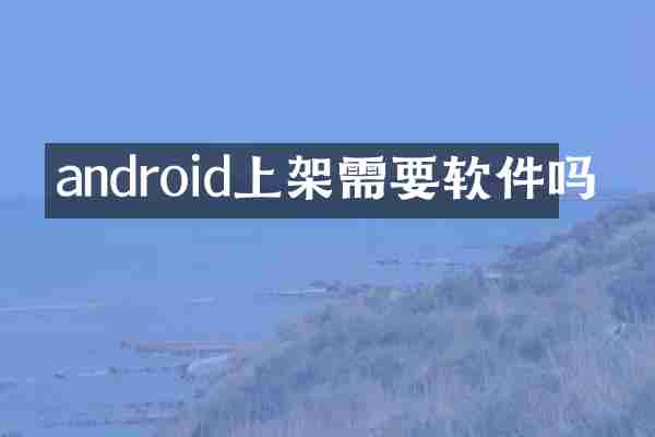 android上架需要软件吗
